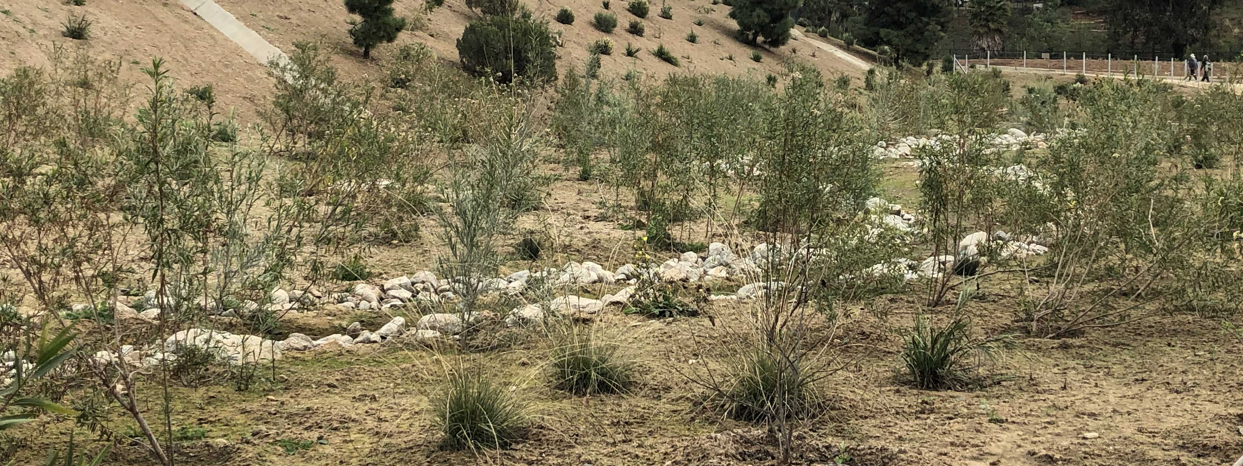 George Wolfberg Park at Potrero Canyon grand opening event, at former Potrero Canyon Park